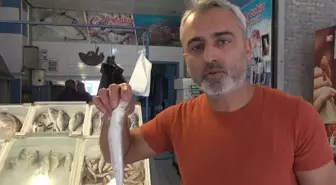 İskenderun'da Jumbo Karides Bolluğu Fiyatları Düşürdü