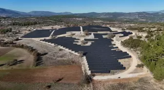 Muğla'da Güneş Enerjisi Santralleri ile 42 Milyon Lira Tasarruf