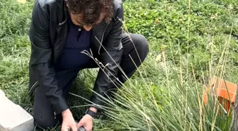 Öğretmen Ümit Bartın, Yaralı Güvercini Kurtardı