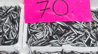 Ordu'da Hamsi Fiyatları Düşerek 70 Liradan Satışa Sunuluyor