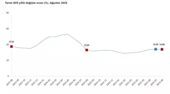 Tarımsal Girdi Fiyatları Ağustosta Yüzde 34,09 Arttı