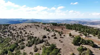 Yozgat'ta 'Ak Çam Konaklamalı Orman Parkı' Projesi Başladı