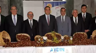 Aydın'da İlk Kestane Mahsulü 550 TL'den Satışa Sunuldu