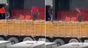 Belediyeye ait fırında infial yaratan görüntü