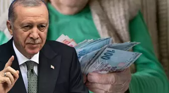 Cumhurbaşkanı Erdoğan müjdeyi vermişti, düğmeye basıldı! TOKİ'ye kiralama yetkisi geliyor
