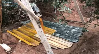 Define Ararken Suçüstü Yakalandı