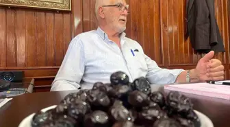 Bursa'dan İsviçre'ye Zeytin İhracı