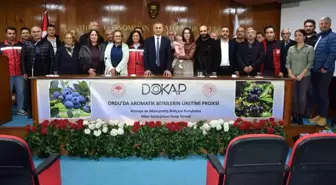 Ordu'da Aromatik Bitki Üretimi 180 Dekara Çıkıyor