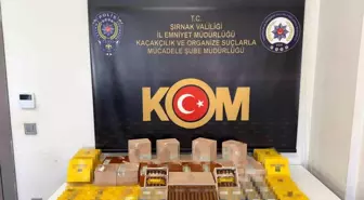 Şırnak'ta Narkotik ve Kaçakçılık Operasyonları: 3 Tutuklama