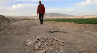 Şam'ın Duma Bölgesinde Toplu Mezar Bulundu