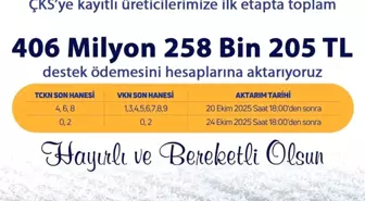 Denizli'de Zirai Dondan Etkilenen Üreticilere 406 Milyon TL Destek