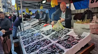 Zonguldak'ta Hamsi Fiyatı 70 Liraya Düştü