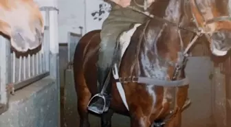 Gazilik Ünvanı İçin Hukuk Mücadelesi Başlattı