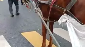 Keşan'da Yaya Geçidine At Arabası Park Eden Kişiye Ceza