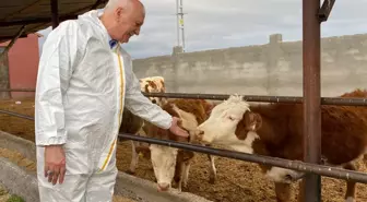 TZOB Başkanı Bayraktar, Kars'taki Şap Hastalığına Dikkat Çekti