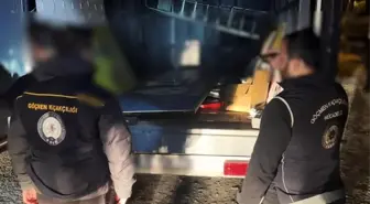 Bitlis'te Göçmen Kaçakçılığına Operasyon: 12 Göçmen Yakalandı, 2 Organizatör Tutuklandı