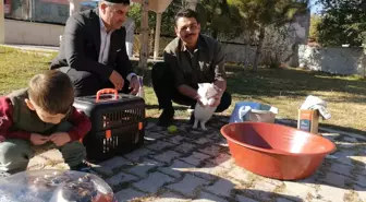 İmam Hatip Yunus Çaykara, Kedilere Şefkat Göstermeye Devam Ediyor