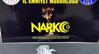 Düzce'de Uyuşturucu Operasyonu: 2.6 Kilogram Bonzai Hammaddesi Ele Geçirildi