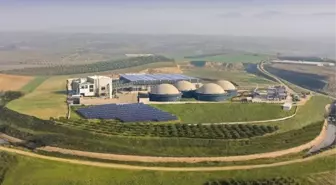 Ecogreen enerji halka arz ne zaman, kaç lot veriyor, yatırım endeksine uygun mu?