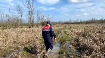 Sakarya'da Yasadışı Avlanmaya Geçit Yok