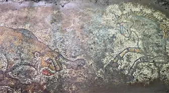 Mardin'de 1500 Yıllık Figürlü Taban Mozaik Ele Geçirildi