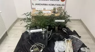 Samsun'da Uyuşturucu Operasyonu: 1 Gözaltı