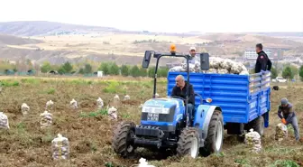 Sivas Cumhuriyet Üniversitesi'nden Öğrencilere Yemek Bursu İçin Patates Üretimi