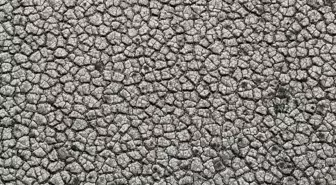 Görüntü Türkiye'nin tarım merkezinden! Çekilen fotoğraflar kıtlığın habercisi