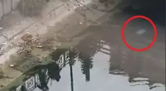 Adana'da Sulama Kanalında Boş Valiz Bulundu