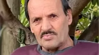 Denizli'de Çıntar Toplamak İçin Giden Yaşlı Adam Kalp Krizinden Hayatını Kaybetti
