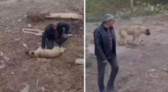 Fenalaşan köpeği kalp masajıyla hayata döndürdü