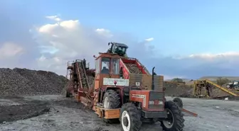 Kars'ta Şeker Pancarı Hasadı Yarışına Girişildi