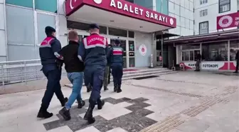 Ordu'da Nitelikli Dolandırıcılık Operasyonu: 4 Tutuklama