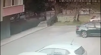 Pendik'te Kadın Cinayeti: Sanığa Ağırlaştırılmış Müebbet Ceza