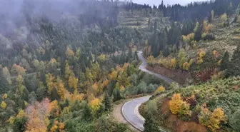 Trabzon'un Yüksek Kesimlerinde Sonbahar Renkleri Sıra Dışı Manzaralar Sunuyor