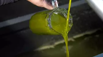 Ayvalık Ticaret Odası: Zeytinyağında Taklit ve Tağşiş Sorunu