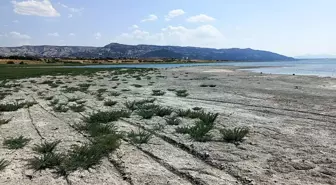 Dr. Ece Aynur Onur: 2050'de Yüzey Suları %40 Yok Olacak