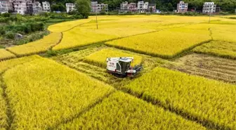 Çin'de 'Ayazın Düşüşü' Kutlanıyor