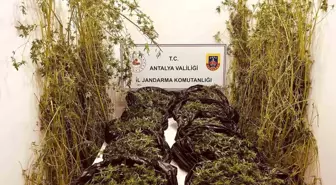 Antalya'da Skunk Operasyonu: 53 Kilo Uyuşturucu Ele Ge geçirildi