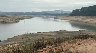 Bodrum'da Su Krizi: Geyik Barajı'nda Su Seviyesi Yüzde 13'e Geriledi