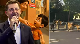 Çekmeköy Belediyesi'nin duyarsızlığı ilçe halkını isyan ettirdi