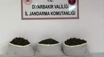 Diyarbakır'ın Lice ilçesinde uyuşturucu operasyonu: 15 kilo skunk ele geçirildi
