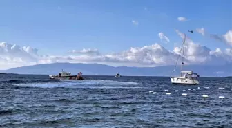 Bodrum açıklarında göçmen teknesi battı: 7 ölü