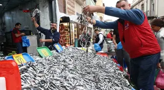 Karadeniz'de Hamsi Bolluğu Fiyatları Düşürdü