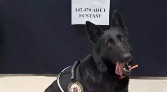 Karaman'da 71 Milyon Liralık Uyuşturucu Hap Ele Geçirildi