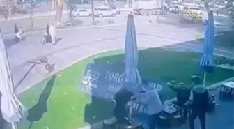 Bursa'da Lodos Hayatı Olumsuz Etkiledi