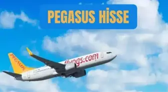 PEGASUS HİSSE YORUM: Pegasus hisse yükselişte mi, yükselmeye devam edecek mi? 24 Ekim Pegasus hisse fiyatı ve grafiği!