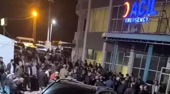 Ceviz Toplamak İçin Ağaca Çıkan Adam Düşerek Hayatını Kaybetti