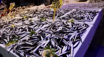 Trabzon'da Hamsi Fiyatları 100 Lira