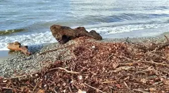 Edremit Körfezi'nde Lodos Fırtınası Sahili Vurdu